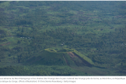 RDC: des ONG environnementales alertent face au pillage dans le parc des Virunga