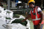 Sud Kivu : plus de 100 tonnes de minerais pas exportés à cause de la double taxation