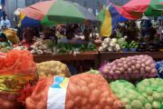 La consommation alimentaire des Congolais estimée à 15 millions de Kg des produits vivriers par jour