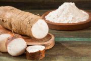 RDC : l’exécutif adopte un projet d’industrialisation de la farine de manioc